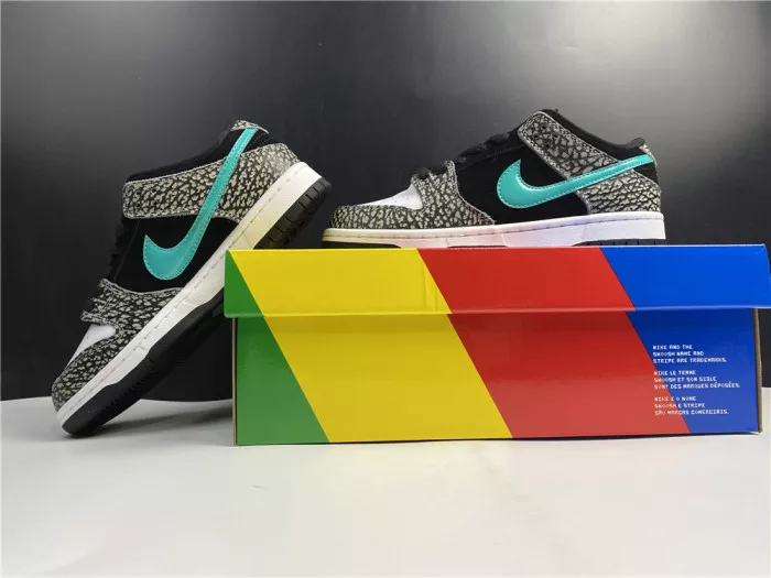 1st Kicks Nike SB Dunk Low atmos Elephant BQ6817-009 0118